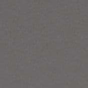 Bild von PL Zugapparate Sonderfarbe Sparkling iron